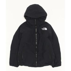 アウター ザ ノース フェイス THE NORTH FACE Firefly Insulated Parka(ファイヤーフライインサレーテッドパーカ)