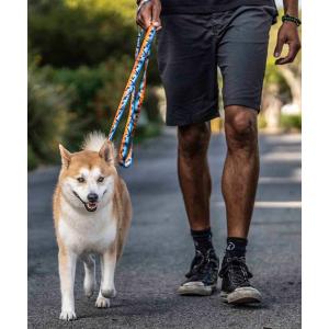 犬 ハーネス リード｜ZOZOTOWN Yahoo!店