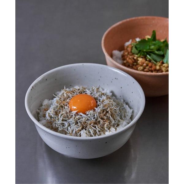 食器 Homeland（ホームランド）信楽焼　丼ぶり