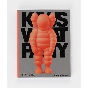 本 KAWS WHAT PARTY M