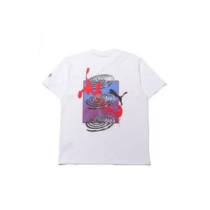 STUSSY（ステューシー） Tシャツ 長袖 メンズ World Tour 限定(stussy