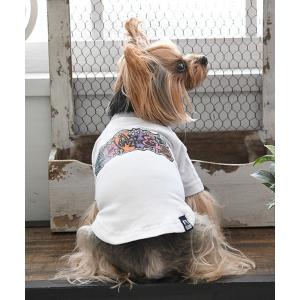 犬 服 XLARGE/ディストーションT