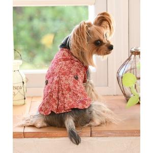 犬用 犬 トルソー 縦型トルソー きゃんナナ ドッグウエア ブランド