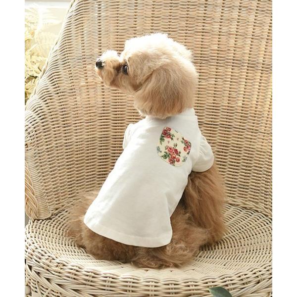 犬 服 LAURA ASHLEY/ドッグシャツ小型犬サイズ