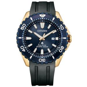 CITIZEN ブラック JW0125-00E メンズ腕時計 Eco-Drive CITIZEN [10年保証] [生産終了 希少人気海外モデル] JW0125-00E