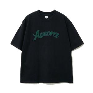 tシャツ Tシャツ メンズ AOZORA/アオゾラ　Tシャツ メッシュ刺繍｜zozo