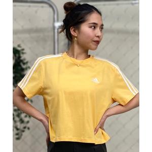 ENK78 tシャツ アディダス adidas 31WESS3SクロップドTシャツ