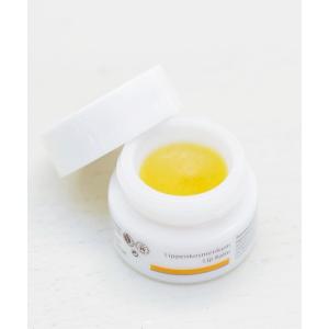 Dr.Hauschka（ドクターハウシュカ） リップクリーム リップ Dr