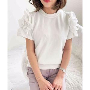 tシャツ デザインフリルスリーブ半袖Tシャツ　ブラウス　プルオーバー レディース