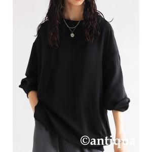 アンティカ antiqua tシャツ リブ切り替えシアートップス レディース