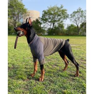 adidas（アディダス） 犬 服 ペット カリ Tシャツ / アディダス