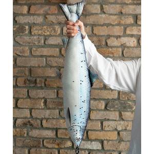 DULTON（ダルトン） クッション クッションカバー FISHES PIKE 195/魚