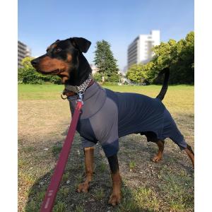snow peak（スノーピーク） 犬 服 SP Dog Mesh Jacket 犬服 ドッグ