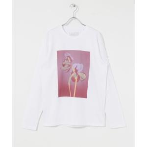 レディース tシャツ Tシャツ LISA KING　LONG SLEEVE T-SHIRTS｜zozo