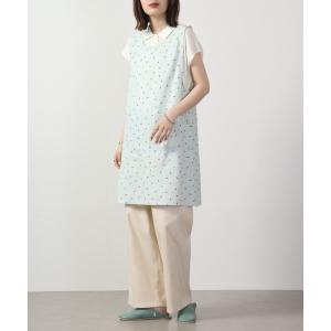 フッチェンロイター（Hutschenreuther） ミラベル 19cmプレート