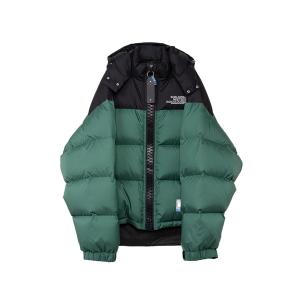 THE NORTH FACE ノースフェイス ヌプシジャケット ND00360 旧品番