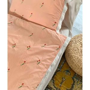 2ドアキュリオケース LUCE light アレドクラシック コレクションケース