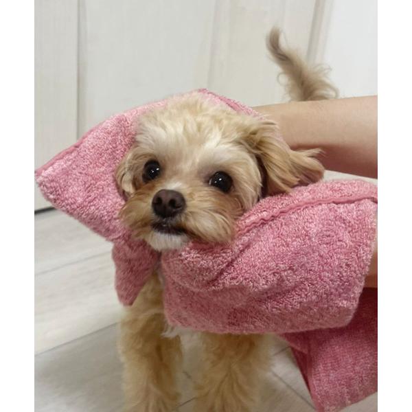 瞬間吸水ペットタオル