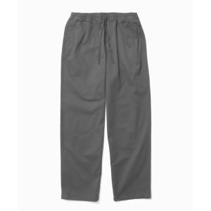 VANS（ヴァンズ） パンツ VANSアパレル(WJ) M Hibernian Cargo PNT