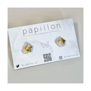 Pokemon ポケモンセンターオリジナル accessory ピアス