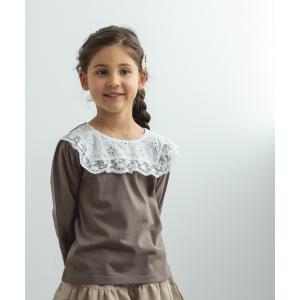 シャツ ブラウス 「かぞくおそろい」レース 切替...の商品画像