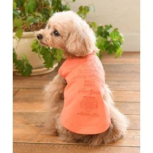 犬 服 AVIREX/フェードウォッシュタンクの商品画像