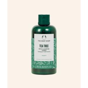 THE BODY SHOP（ザボディショップ） 洗顔 the body shop TT スキン
