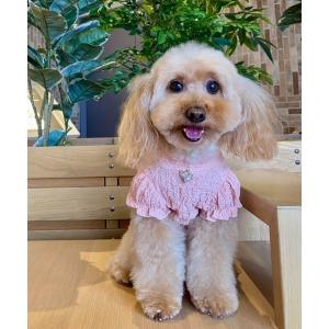 Kalina カリーナ ニット ハート柄 ワンピース SサイズとMサイズ ニットハート柄ワンピース | 犬服 小型犬 ドッグウェア KALINA