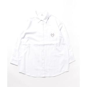 ブラウス シャツ 「ARNIE ARNOLD PALMER/アーニーアーノルドパーマー」オーバーサイズ ストライプ　オックスシャツ レディース