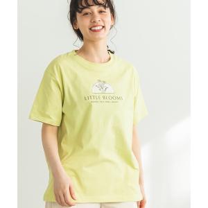 tシャツ Tシャツ レディース 「プレミアムコットン100」「かぞくおそろい」「大人ユニセックス」プリント半袖Tシャツ｜zozo