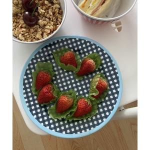 食器 ギンガムチェックレトロプレート : ZOZOTOWN Yahoo!店 - 通販