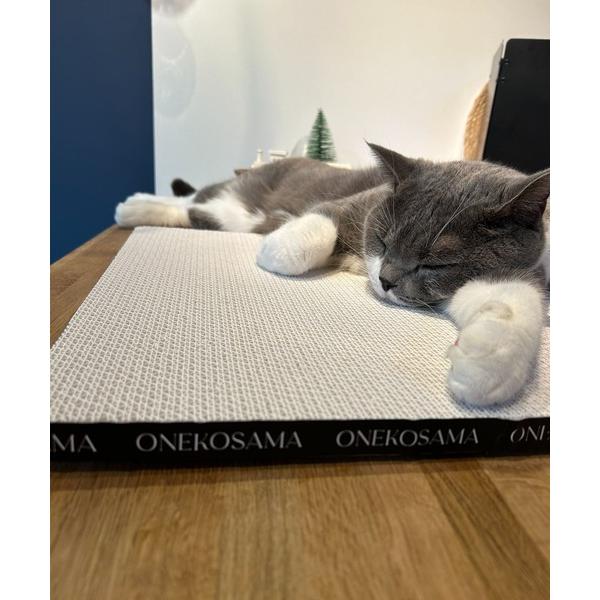 オリジナル爪とぎ「M」