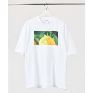 tシャツ Tシャツ レディース 「 PUPPET SUNSUN / パペットスンスン 」 ビッグTシャツ papetto BIGT WNI