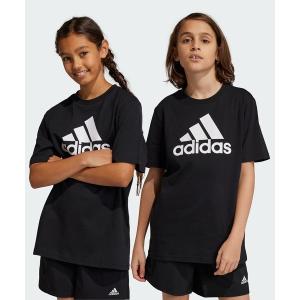 tシャツ Tシャツ キッズ エッセンシャルズ ビッグロゴ コットン半袖Tシャツ / アディダス adidas