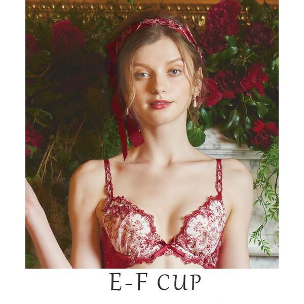 ブラジャー ファビエンヌ ブラジャー