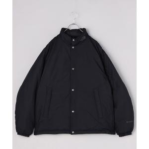 ダウン ダウンジャケット メンズ 限定展開 THE NORTH FACE/ノースフェイス Alterlation Sierra Jacket / オル｜zozo