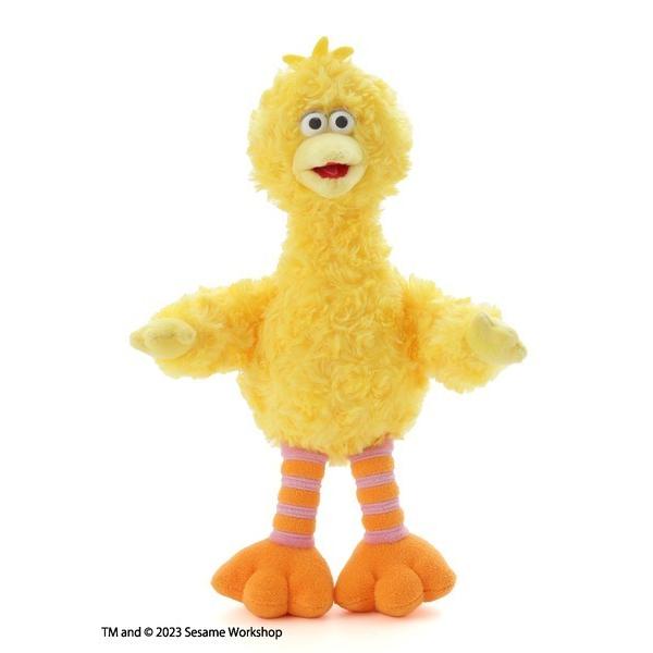 おもちゃ ぬいぐるみS ビッグバード