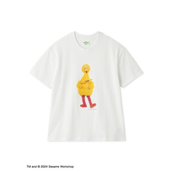 tシャツ 「UNISEX」ストーリーTシャツ レディース メンズ