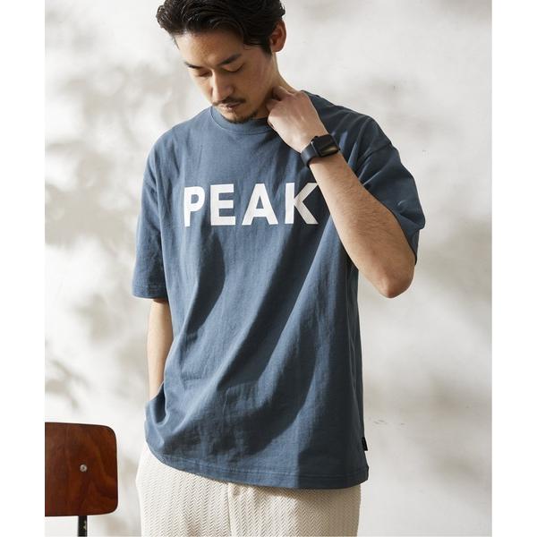 「Snow Peak」 半袖Tシャツ SMALL ブルー メンズ