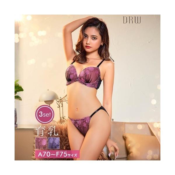 ブラジャー ショーツセット グラマーリッチフルーロン ブラジャー ＆ フルバック ＆ Tバックショー...