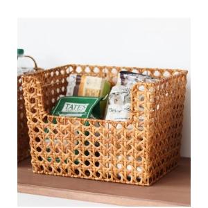 TODAY'S SPECIAL（トゥデイズスペシャル） 収納 ヴィスバスケット