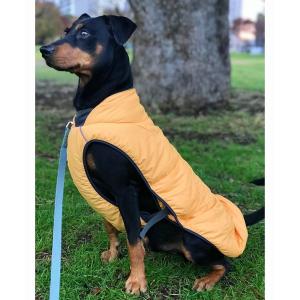 ペット メンズ グリーンボウル「GREEN BOWL」Nylon×Fleece Jacket Dog wear/ 中・大型犬 Mサイズ