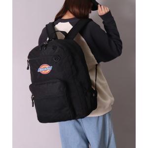 THE NORTH FACE（ザ ノースフェイス） 【THE NORTH FACE】BC Fuse Box
