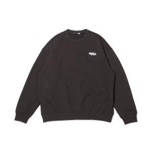 スウェット メンズ THE NORTH FACE NEVER STOP ING Crew / ザ・ノース・フェイス ネバー ストップ イング クルー｜zozo