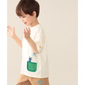 tシャツ Tシャツ キッズ BEAMS mini / メッシュ ポケット 昆虫 Tシャツ 24SS（90〜130cm）｜ZOZOTOWN Yahoo!店