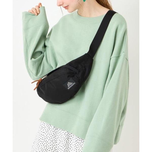 ウエストポーチ GREGORY/グレゴリー ウエストポーチ テールランナー V2 アウトドア 旅行 ...