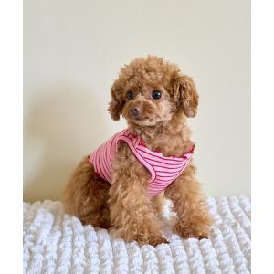 犬 服 「DOG」マルチメロウボーダートップス/リンクコーデ