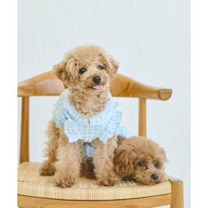 犬 服 「DOG」ぽこぽこギャザーワンピース