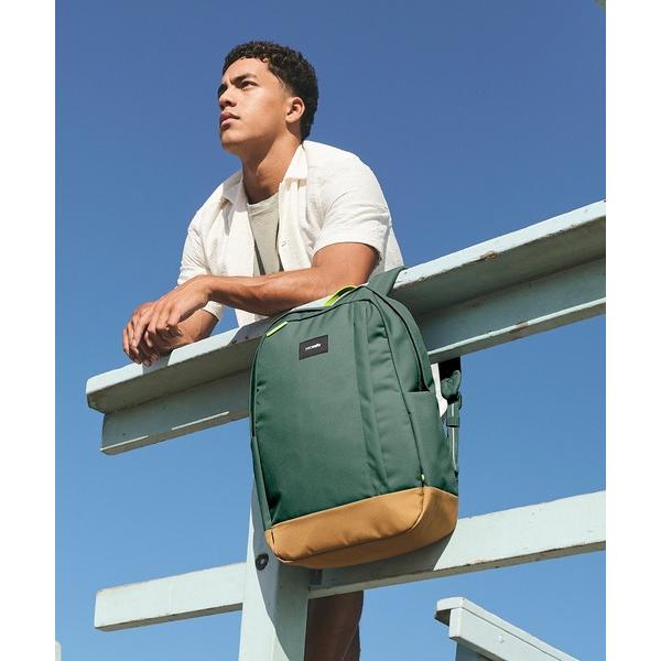 デイバック リュック pacsafe/パックセーフ GO 25L backpack メンズ レディー...