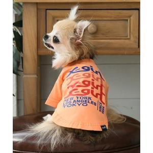X-girl（エックスガール） 犬 服 X-girl/ステッチロゴプルオーバー